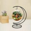 Ornament Display Stand