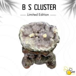 Brazil S Cluster #42