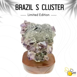 Brazil S Cluster #23