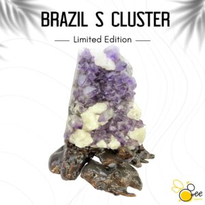 Brazil S Cluster #39