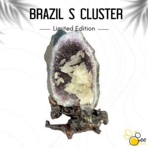 Brazil S Cluster #04