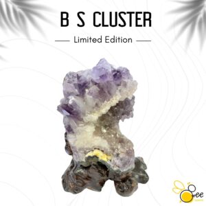 Brazil S Cluster #55