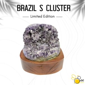 Brazil S Cluster #60