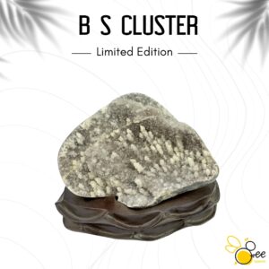 Brazil S Cluster #08