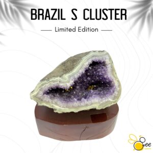 Brazil S Cluster #15