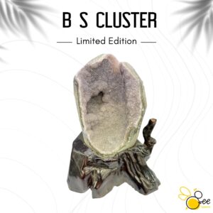 Brazil S Cluster #54