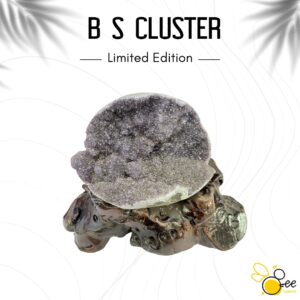 Brazil S Cluster #43