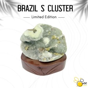 Brazil S Cluster #06