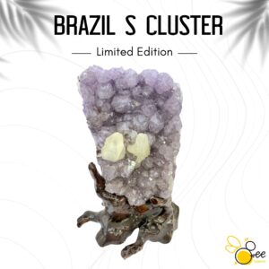 Brazil S Cluster #14