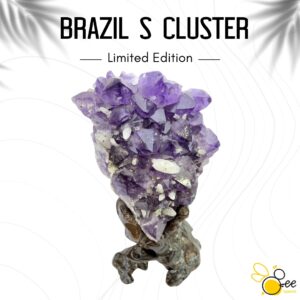 Brazil S Cluster #13