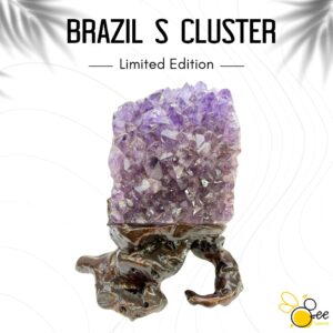 Brazil S Cluster #53