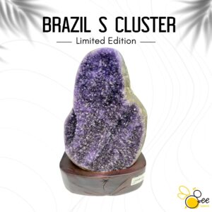 Brazil S Cluster #49