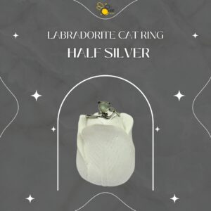 Labradorite Cat Ring