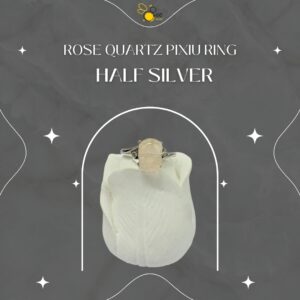 Rose Quartz Pixiu Ring
