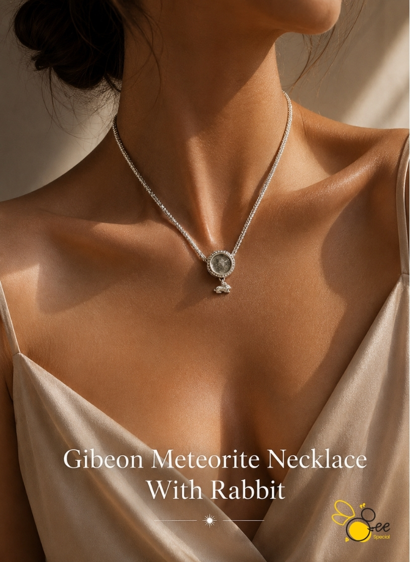 Gibeon Meteorite Necklace With Rabbit
